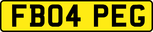 FB04PEG