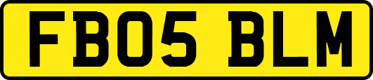 FB05BLM