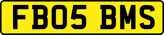 FB05BMS