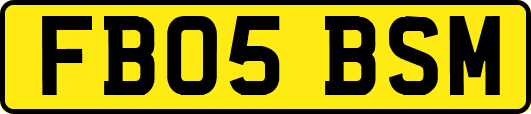 FB05BSM