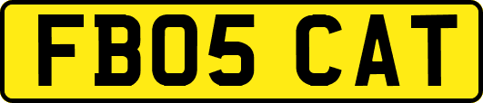 FB05CAT