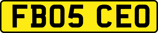 FB05CEO