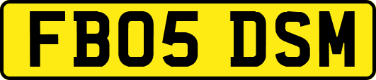 FB05DSM
