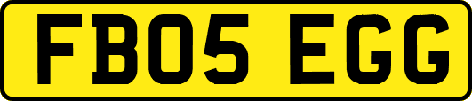 FB05EGG