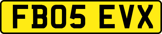 FB05EVX