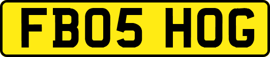 FB05HOG