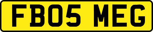 FB05MEG