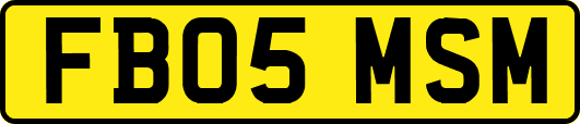 FB05MSM