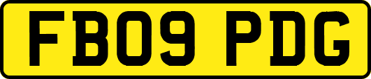 FB09PDG
