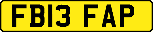 FB13FAP