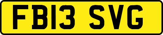 FB13SVG