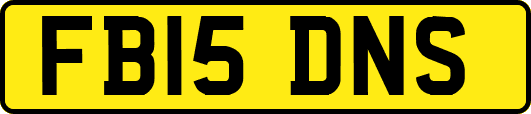 FB15DNS