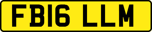 FB16LLM