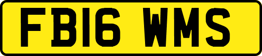 FB16WMS