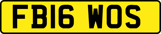 FB16WOS