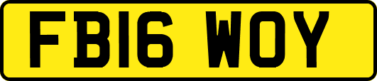 FB16WOY