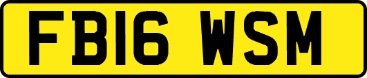 FB16WSM