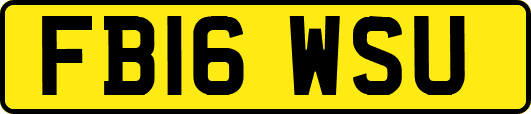 FB16WSU