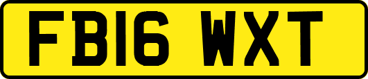 FB16WXT
