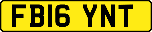 FB16YNT