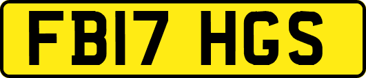 FB17HGS