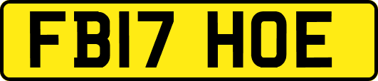 FB17HOE