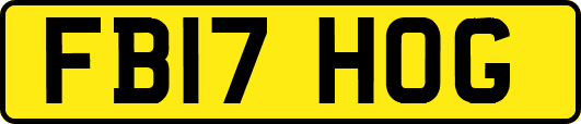FB17HOG