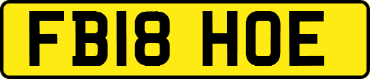 FB18HOE