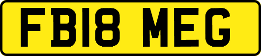 FB18MEG