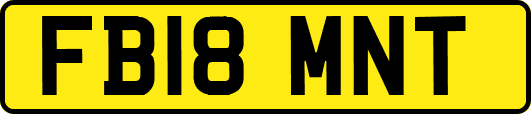 FB18MNT