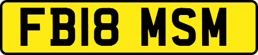 FB18MSM