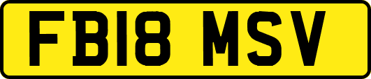 FB18MSV