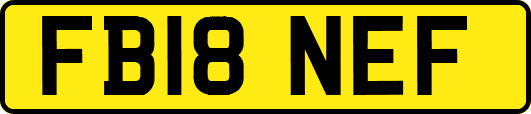 FB18NEF