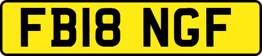 FB18NGF