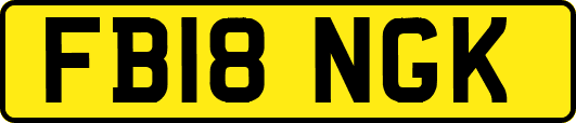 FB18NGK