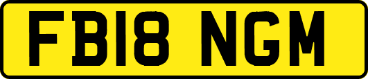 FB18NGM