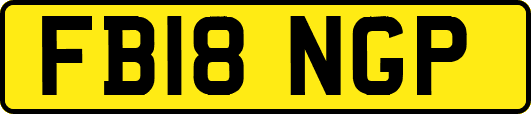 FB18NGP