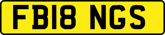 FB18NGS