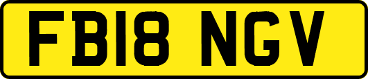 FB18NGV