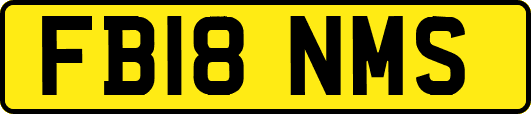 FB18NMS
