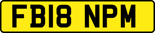 FB18NPM