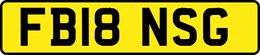 FB18NSG