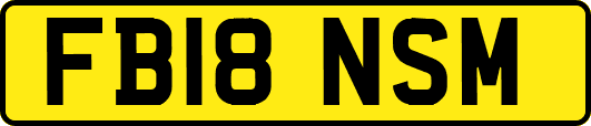 FB18NSM