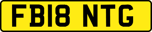 FB18NTG