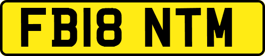 FB18NTM