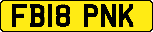 FB18PNK
