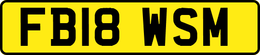 FB18WSM