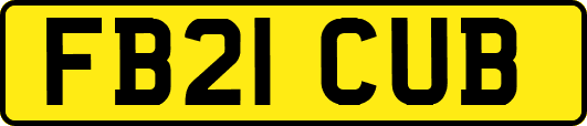 FB21CUB