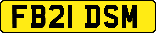 FB21DSM
