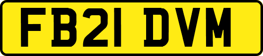 FB21DVM